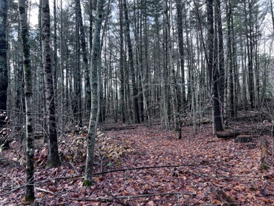 Buildable Lot in Southern Maine - image 10