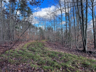 Buildable Lot in Southern Maine - image 9