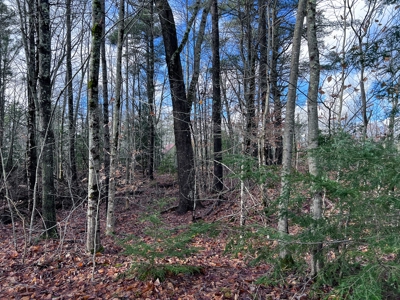 Buildable Lot in Southern Maine - image 11