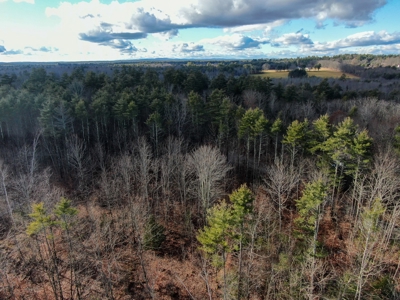 Buildable Lot in Southern Maine - image 1