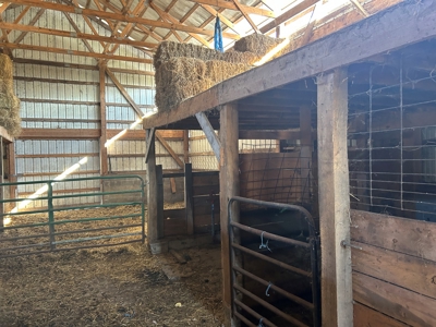 6 Bed Amish Home-Workshop & Barn-26.4+/- Acres-Liberty, Ky. - image 33