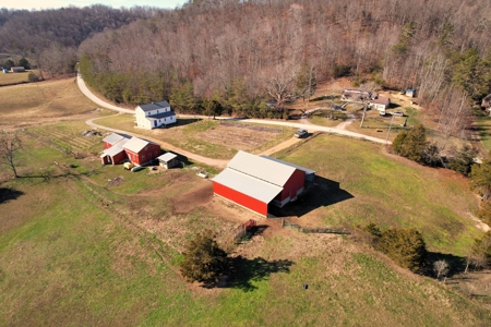6 Bed Amish Home-Workshop & Barn-26.4+/- Acres-Liberty, Ky. - image 40