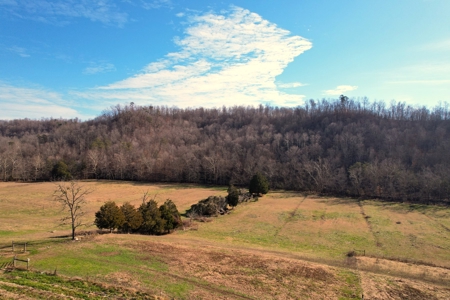 6 Bed Amish Home-Workshop & Barn-26.4+/- Acres-Liberty, Ky. - image 35