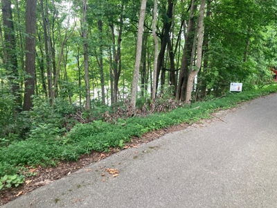 Lot on Beautiful Barren River Lake - image 11