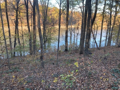 Lot on Beautiful Barren River Lake - image 2
