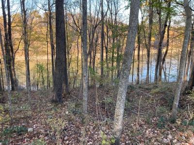 Lot on Beautiful Barren River Lake - image 1