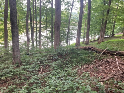 Lot on Beautiful Barren River Lake - image 15