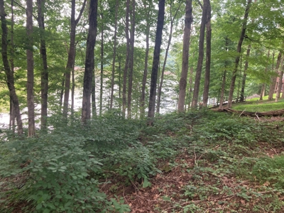 Lot on Beautiful Barren River Lake - image 14