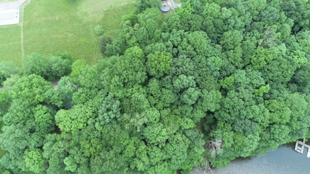 Lot on Beautiful Barren River Lake - image 6