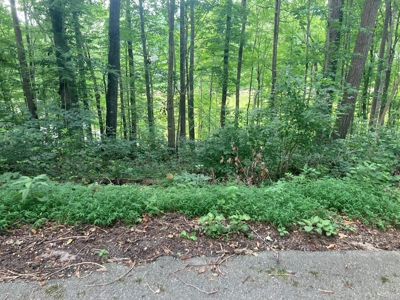 Lot on Beautiful Barren River Lake - image 10