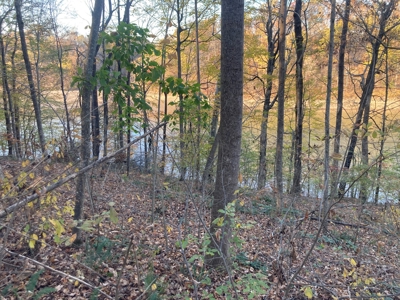 Lot on Beautiful Barren River Lake - image 3