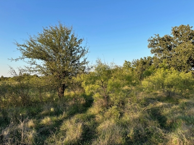 Lot 348 at The Hideout Golf Resort at Lake Brownwood, TX - image 34