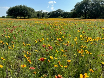 Lot 348 at The Hideout Golf Resort at Lake Brownwood, TX - image 24