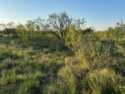 Lot 348 at The Hideout Golf Resort at Lake Brownwood, TX - image 31