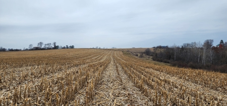 22 Acres of Land For Sale (Mostly Tillable) - image 1