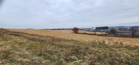22 Acres of Land For Sale (Mostly Tillable) - image 5