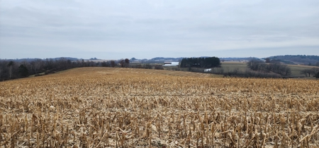 22 Acres of Land For Sale (Mostly Tillable) - image 6