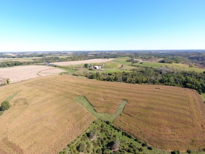 22 Acres of Land For Sale (Mostly Tillable) - image 8
