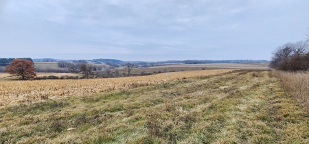 22 Acres of Land For Sale (Mostly Tillable) - image 4