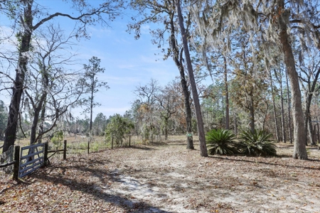 3 bedrooms 2 bath mobile home on 5.11acres - image 29