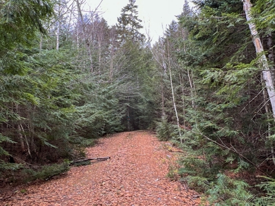 Maine Lakefront Cottage - image 31