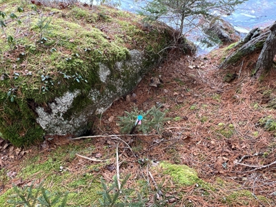Maine Lakefront Cottage - image 30