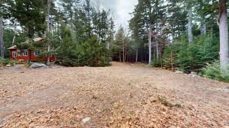 Maine Lakefront Cottage - image 4