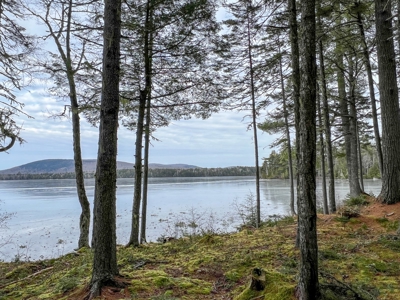 Maine Lakefront Cottage - image 23