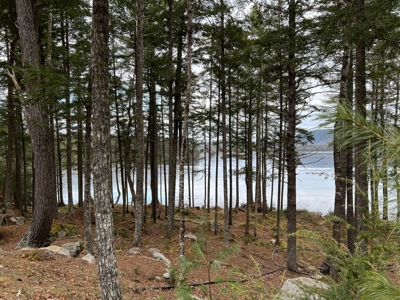 Maine Lakefront Cottage - image 25