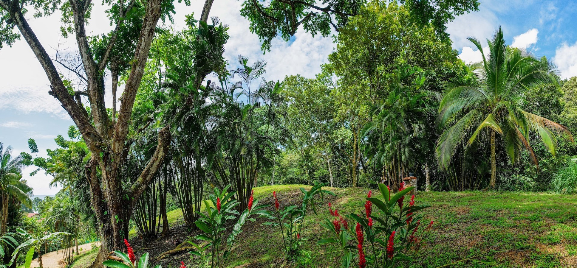 Bluff Beach Resort – Bluff Beach, Bocas del Toro – 13