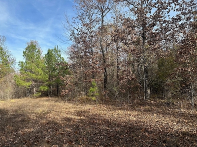 40 Acre Hunting Tract Located in LaSalle Parish - image 3