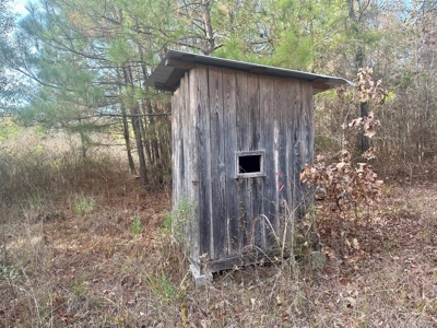 40 Acre Hunting Tract Located in LaSalle Parish - image 7