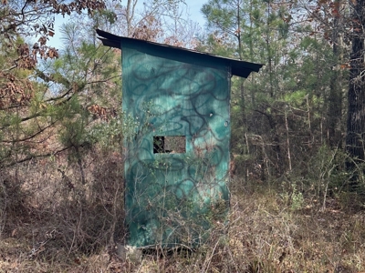 40 Acre Hunting Tract Located in LaSalle Parish - image 5