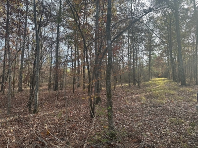 40 Acre Hunting Tract Located in LaSalle Parish - image 10