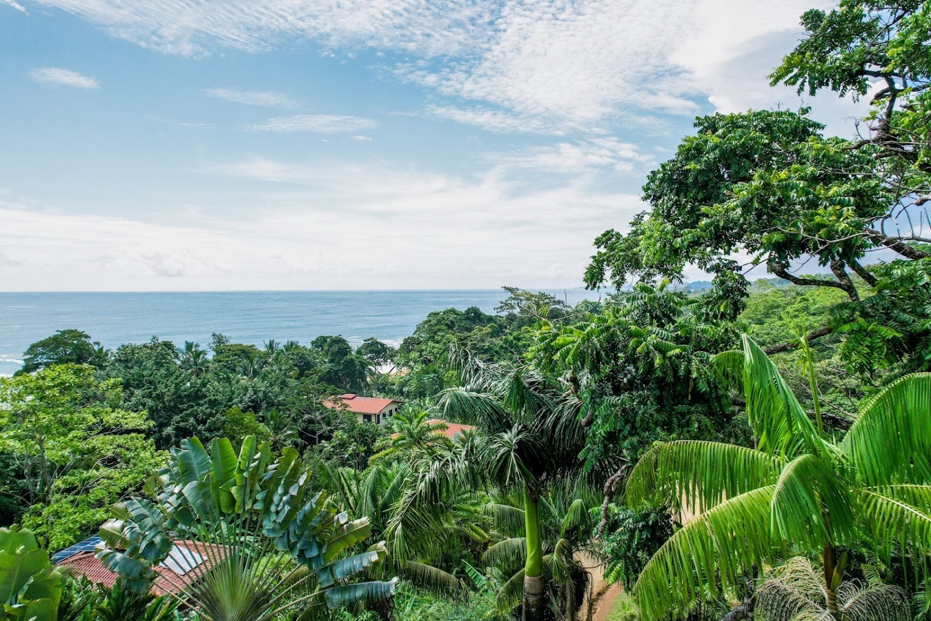 Grundstück am Bluff Beach — 4,9 Acres, Isla Colón - 16