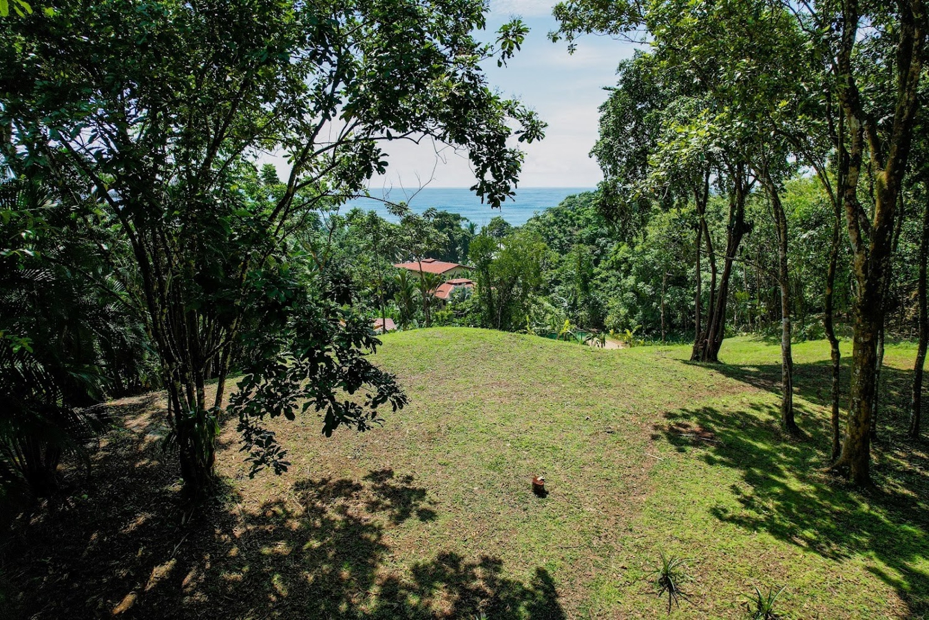 Grundstück mit Eigentumsurkunde am Bluff Beach – 4,9 Acres, Isla Colón – 3