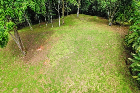 Titled Land in Bluff Beach, Must be Sold with #21206 - image 3