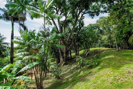 Titled Land in Bluff Beach, Must be Sold with #21206 - image 7