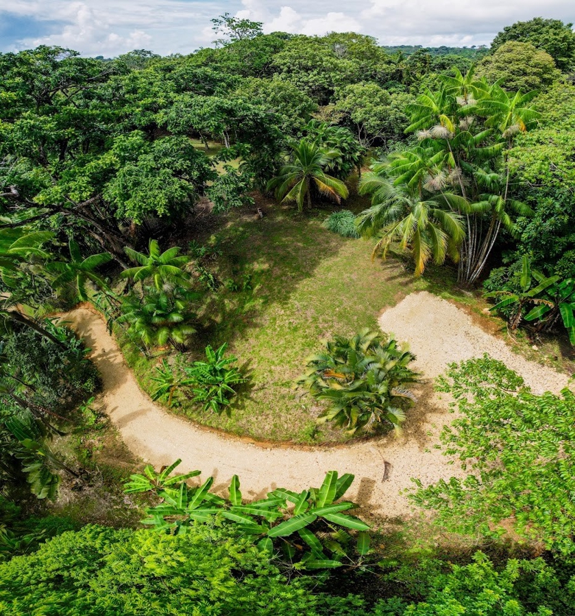 Grundstück am Bluff Beach — 4,9 Acres, Isla Colón - 13