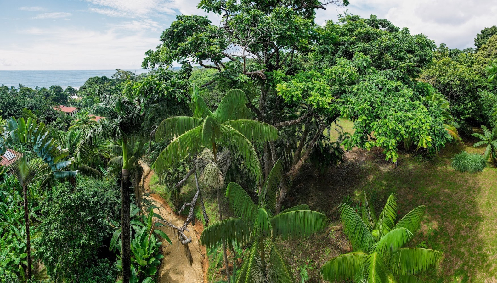 Grundstück in Bluff Beach — 4,9 Acres, Isla Colón - 17