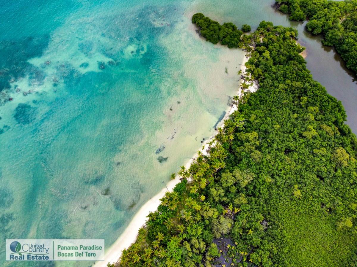 Terreno frente a la playa, ~130 m de frente — Salt Creek, Isla Bastimentos - 4