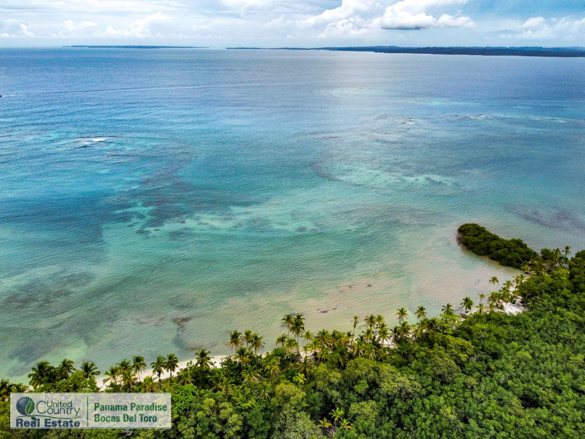 Terreno frente a la playa, ~130 m de frente — Salt Creek, Isla Bastimentos - 6