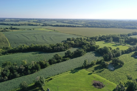 For Sale 52 Acres m/l Row Crop in Gentry County - image 16