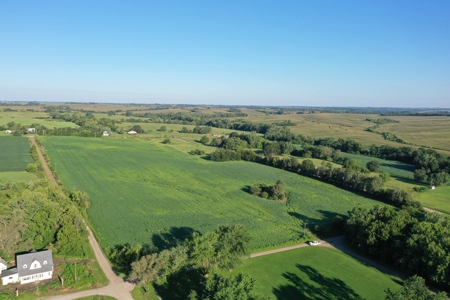 For Sale 52 Acres m/l Row Crop in Gentry County - image 6