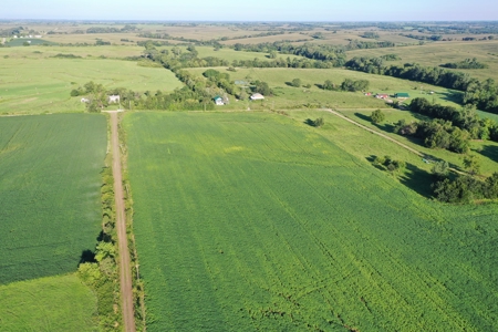 For Sale 52 Acres m/l Row Crop in Gentry County - image 4