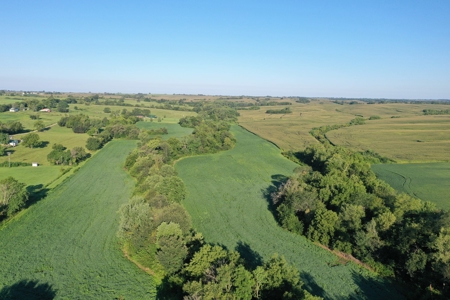 For Sale 52 Acres m/l Row Crop in Gentry County - image 11