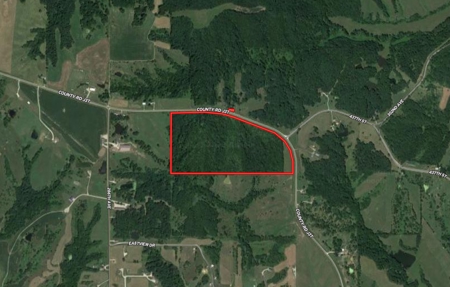 Recreational Land with Hunting & Development Potential - image 48