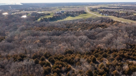Recreational Land with Hunting & Development Potential - image 19
