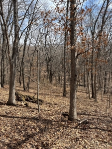 Recreational Land with Hunting & Development Potential - image 31