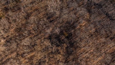 Recreational Land with Hunting & Development Potential - image 18